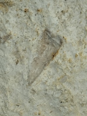 IMG_20240814_170544.jpg (2.13 MiB) Przejrzano 5064 razy IMG_20240814_170544.jpg