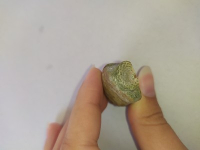 IMG_20240908_145908.jpg (2.05 MiB) Przejrzano 2115 razy IMG_20240908_145908.jpg