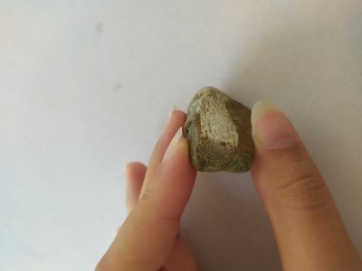 IMG_20240908_145933.jpg (2.22 MiB) Przejrzano 2115 razy IMG_20240908_145933.jpg