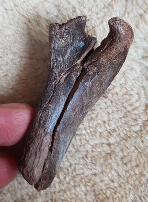 20240926_094609.jpg (2.59 MiB) Przejrzano 6505 razy 20240926_094609.jpg