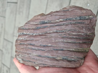 20241104_140307.jpg (2.28 MiB) Przejrzano 5825 razy 20241104_140307.jpg