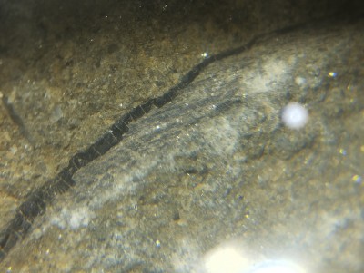 IMG_20241106_202616.jpg (3.29 MiB) Przejrzano 3454 razy IMG_20241106_202616.jpg