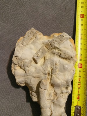 IMG20250614232008.jpg