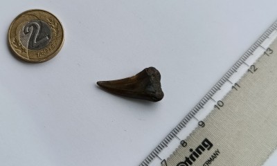 IMG_20250717_071753_793.jpg