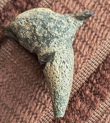 IMG_20250717_113404861_HDR~2_Easy-Resize.com.jpg