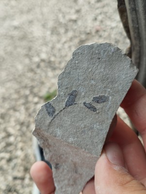 IMG_20250720_194935.jpg (4.69 MiB) Przejrzano 2857 razy IMG_20250720_194935.jpg