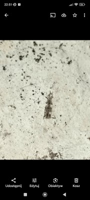 Screenshot_2025-08-15-22-51-02-729_com.google.android.apps.photos~2.jpg (343.09 KiB) Przejrzano 2575 razy Screenshot_2025-08-15-22-51-02-729_com.google.android.apps.photos~2.jpg