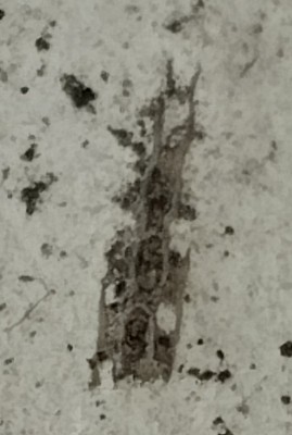 IMG_20250815_225240~2.jpg (210.09 KiB) Przejrzano 2575 razy IMG_20250815_225240~2.jpg