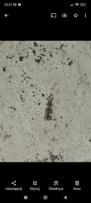 Screenshot_2025-08-15-22-51-02-729_com.google.android.apps.photos.jpg (801.43 KiB) Przejrzano 2211 razy Screenshot_2025-08-15-22-51-02-729_com.google.android.apps.photos.jpg