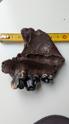 PXL_20250901_084425355.jpg