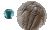 Kambryjski trylobit